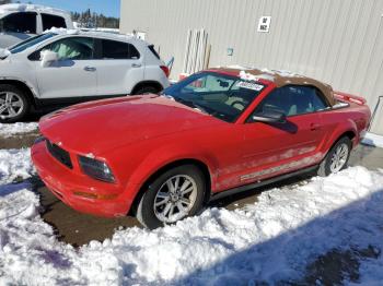  Salvage Ford Mustang