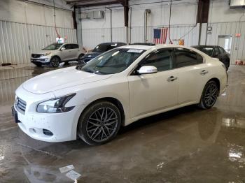  Salvage Nissan Maxima