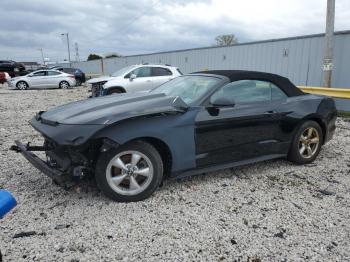  Salvage Ford Mustang