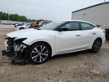  Salvage Nissan Maxima