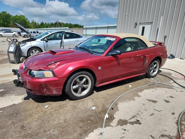  Salvage Ford Mustang