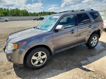  Salvage Ford Escape