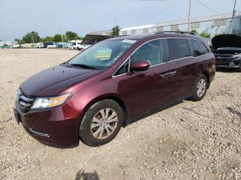  Salvage Honda Odyssey