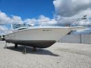 Sea Ray Sundancer Image 1