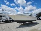 Sea Ray Sundancer Image 2