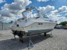 Sea Ray Sundancer Image 7