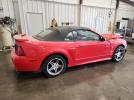 Ford Mustang Gt Image 6