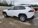 Toyota RAV4 Le Image 5