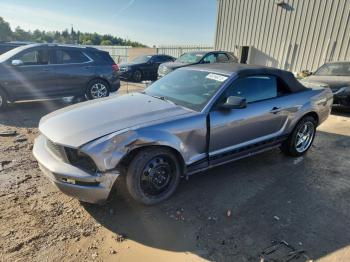  Salvage Ford Mustang