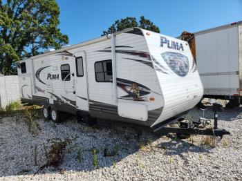  Salvage Palomino Puma
