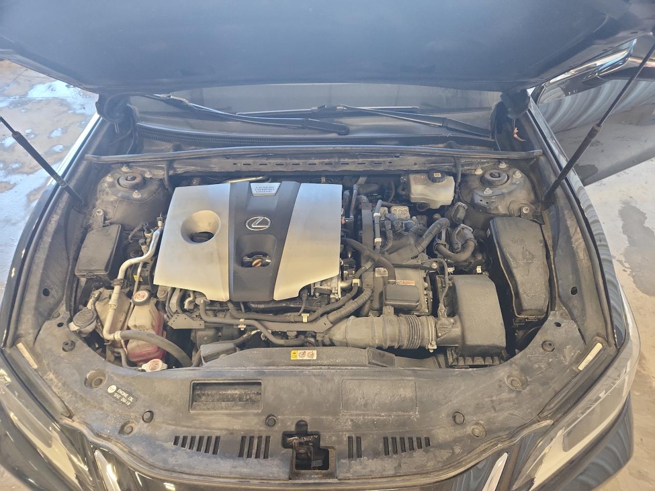 Lexus Es 300h Base Image 9