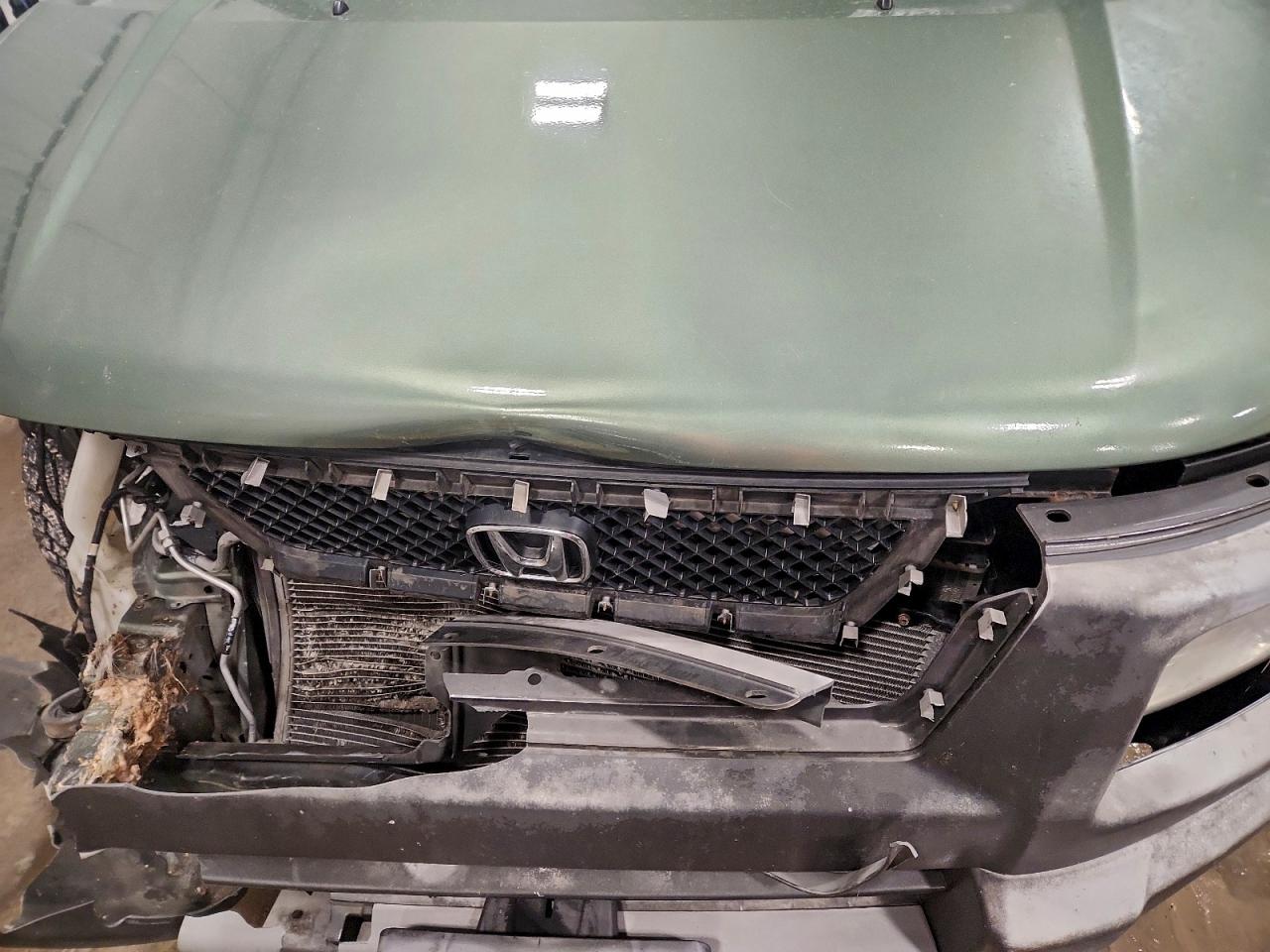 Honda Element Ex Image 3