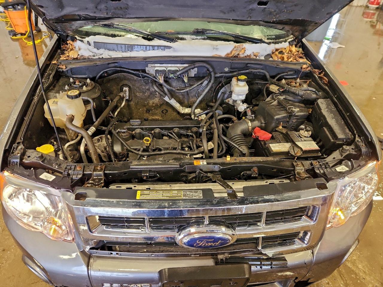 Ford Escape Xlt Image 10