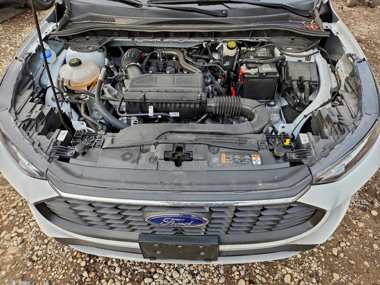 Ford Escape Active Image 6