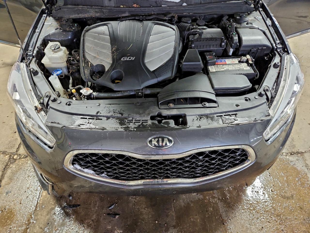 Kia Cadenza Luxury Image 13