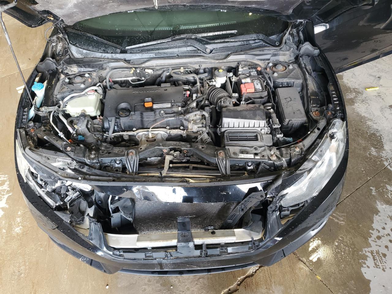 Honda Civic Lx Image 9