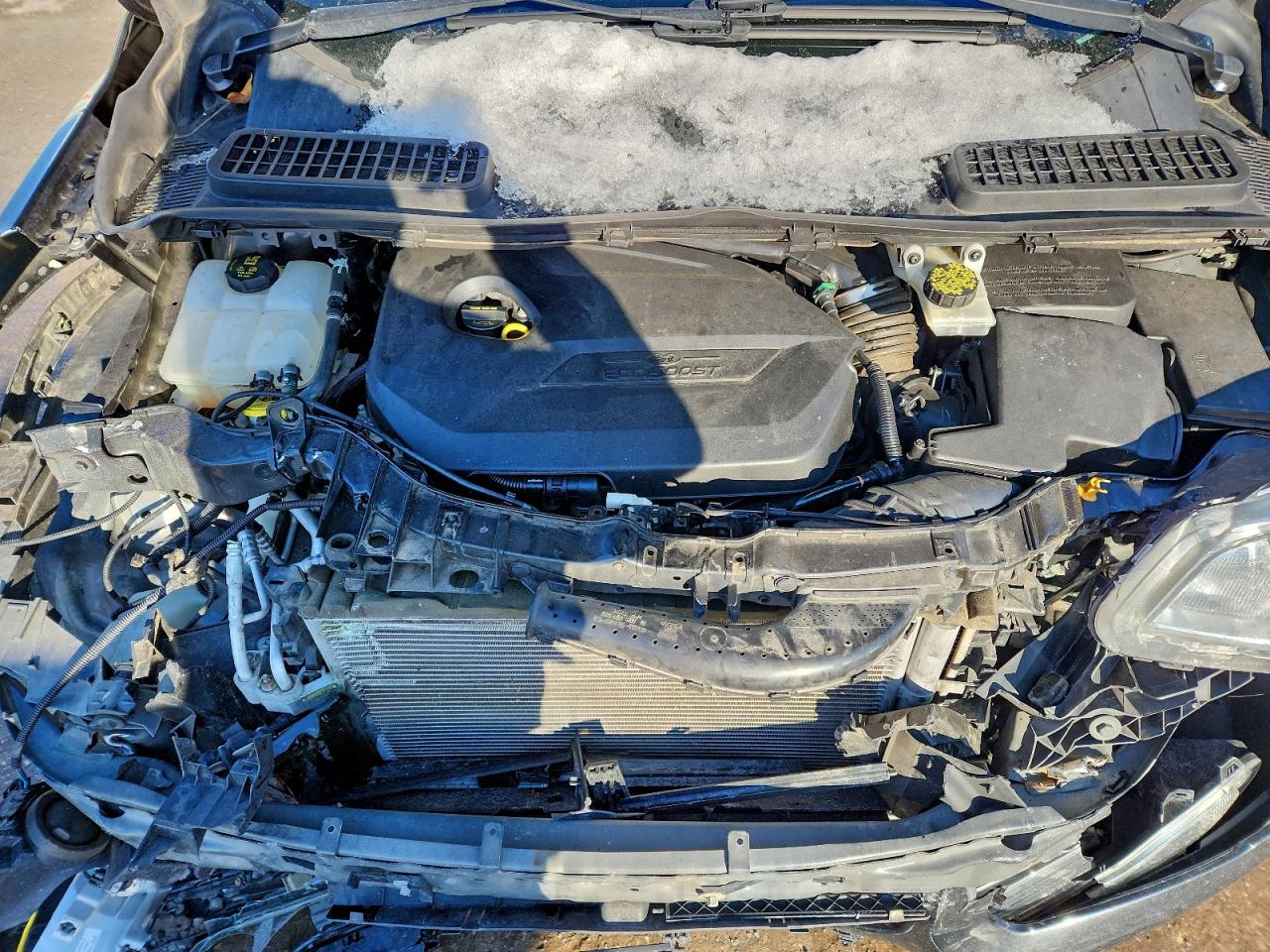 Ford Escape Se Image 6