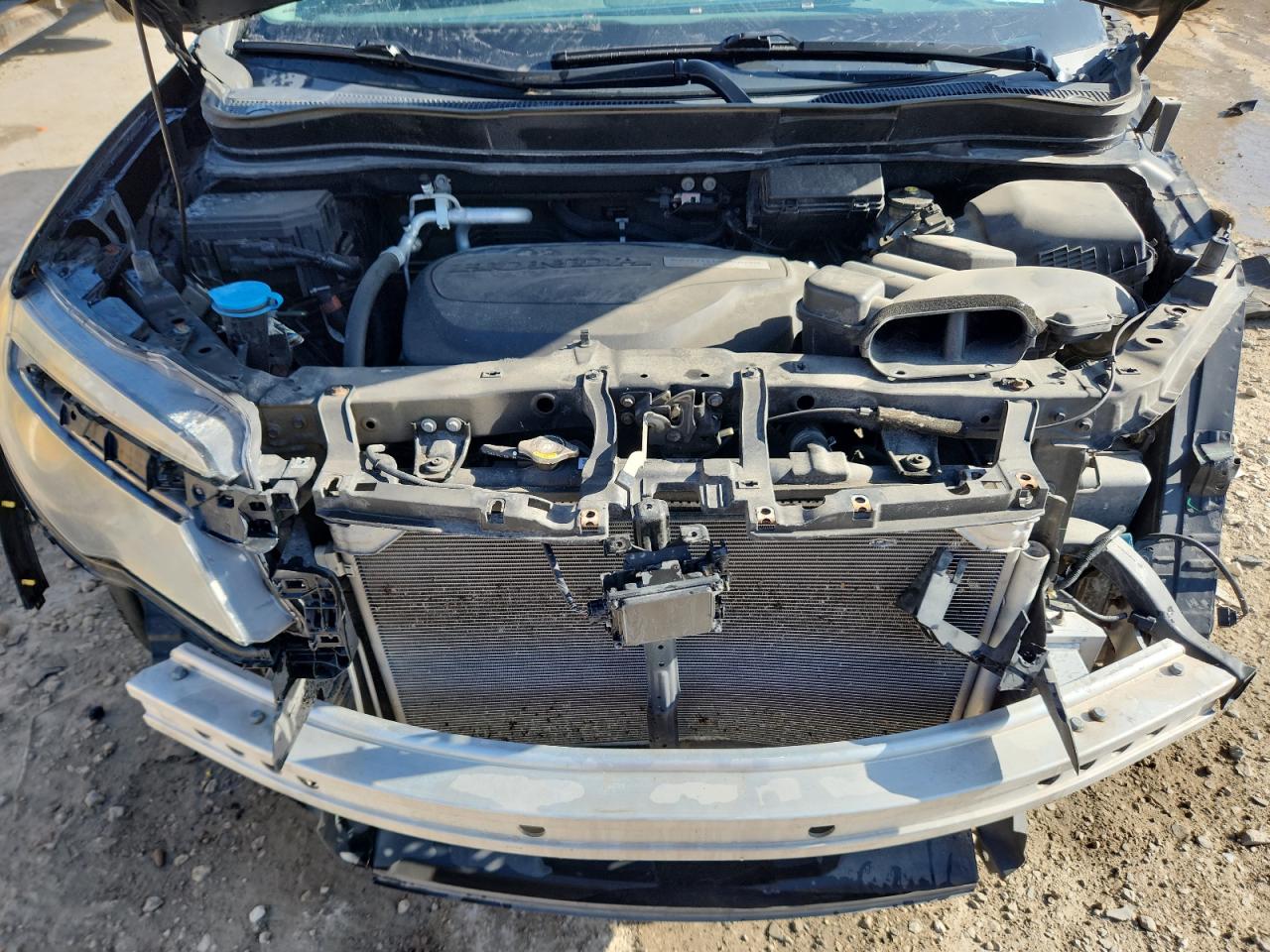 Honda Pilot Elite Image 14